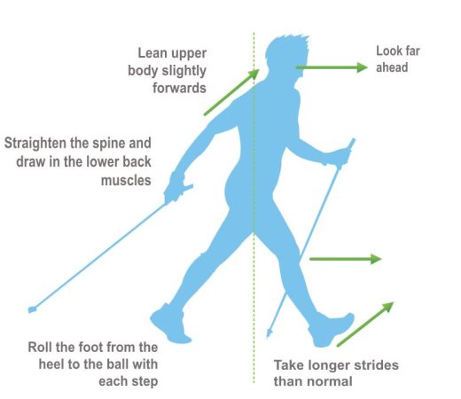 Technique marche nordique EN