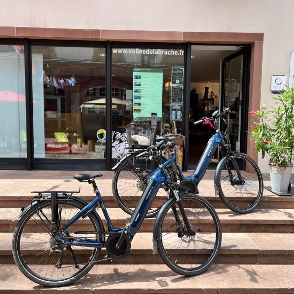 E-bike rental