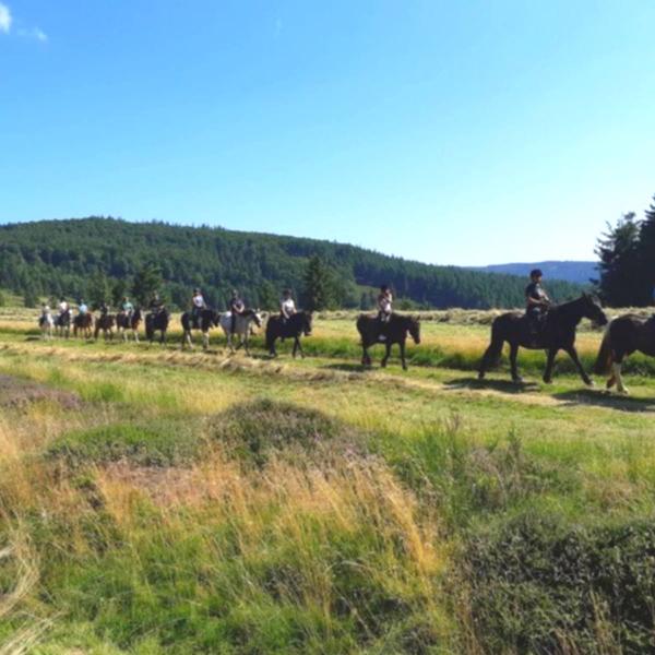 Horse riding activities center: Cheval Alsace
