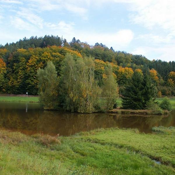 Picnic area  : La Falle