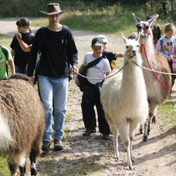 Charbo-loisirs : Walking with Llamas