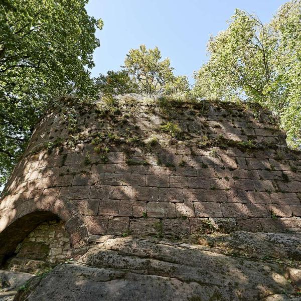 Themed trail : Le sentier du Château de Salm