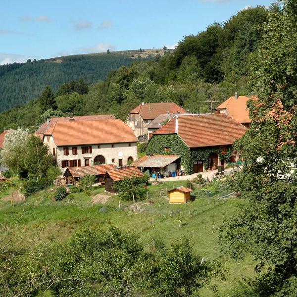 Hiking trail C01: Around the smallest village in Alsace
