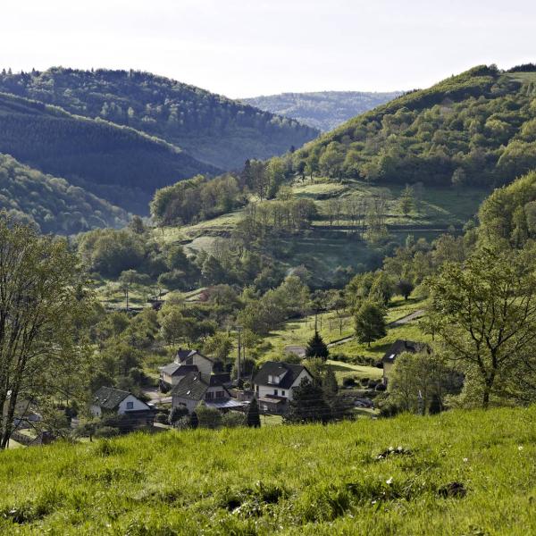 Hiking trail B01: The vineyard hills