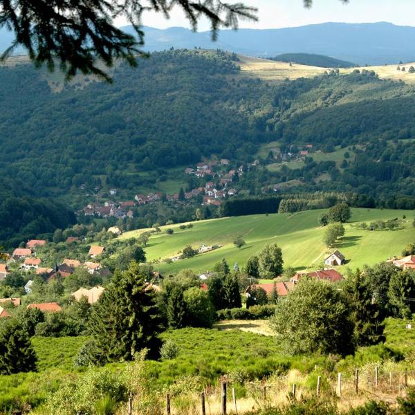 Hiking trail CDF01: The domain of Ban de la Roche