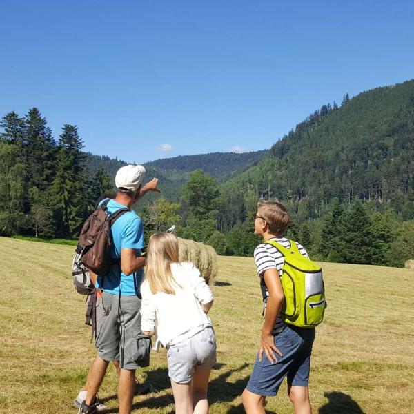 Stroller circuit trail C03: on the road de la Falle