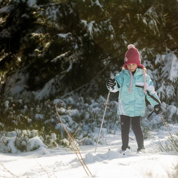 Snowshoe trail CDF01 :  the Champ du feu