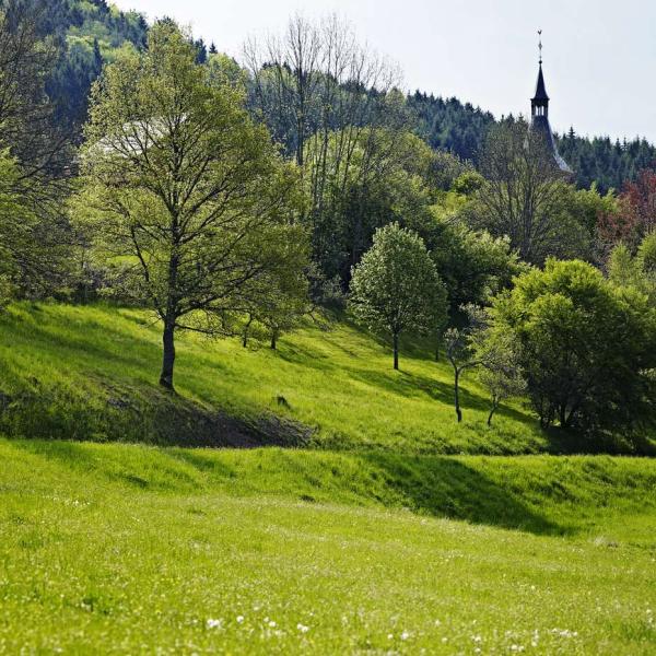 Gilbert's hike H10: Les hauts de Ranrupt