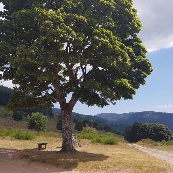 Outdoor stroller circuit C02: around the col de la Perheux