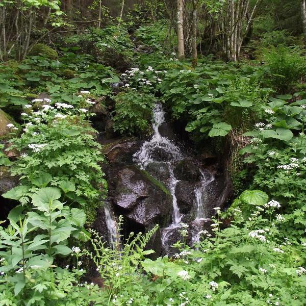 Hiking trail CDF13: La Serva waterfall (short trail)