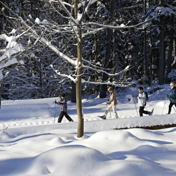 Snowshoe trail CDF02: Towards the Haut des Monts