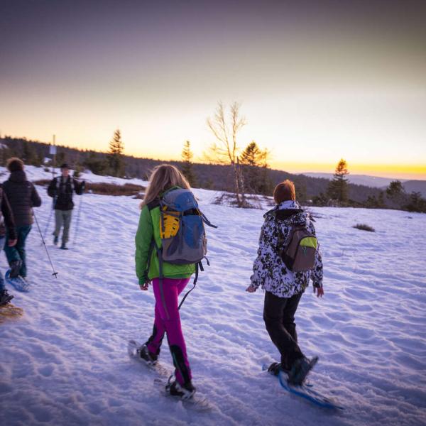 Snowshoe trail CDF03: From Struthof to Champ du Messin