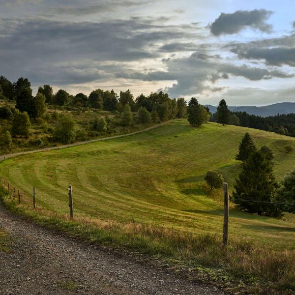 Ban de la Roche farmhouse restaurant trail: an encounter with a castle...
