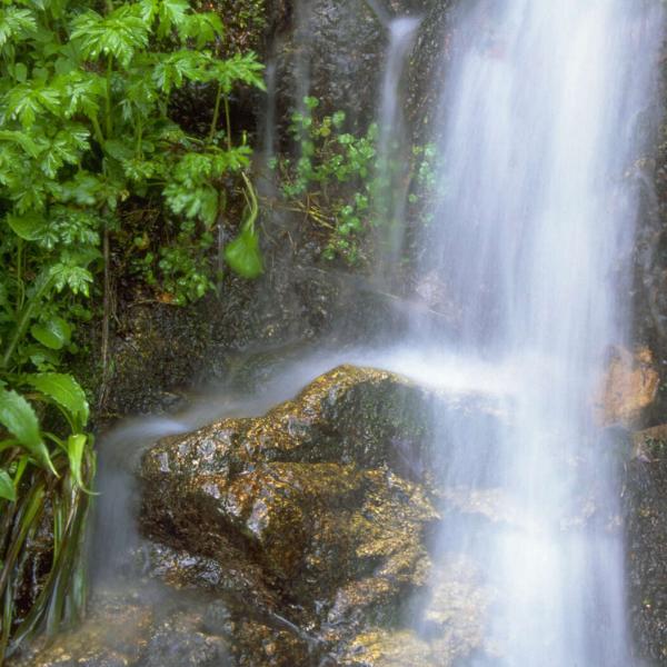 Hiking trail D05: Cascade de la Crache