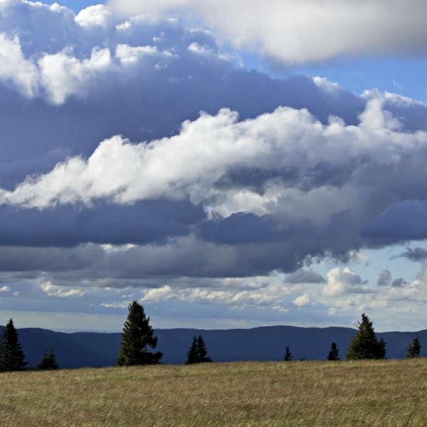 Hiking trail D08: From the Donon to the Chaume de Requival