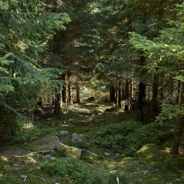 Hiking trail H16: From the Palace to the Children's rock