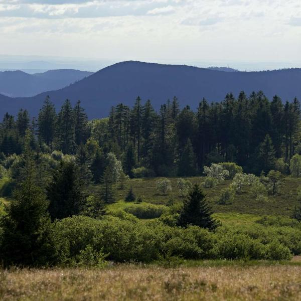 Hiking trail C32: Castles around the Bruche valley