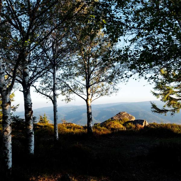 Hiking trail B22: From the crête du Donon to the Rocher de Mutzig