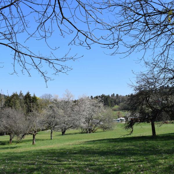 Outdoor stroller circuit B01: From Grendelbruch to the Hohbuhl
