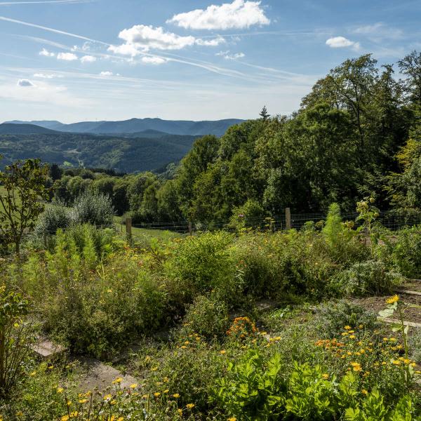 Promont farm and inn tour: where the lime tree is king