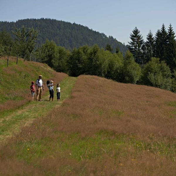Hiking trail C36 : The-balconies-of-la-Rothaine