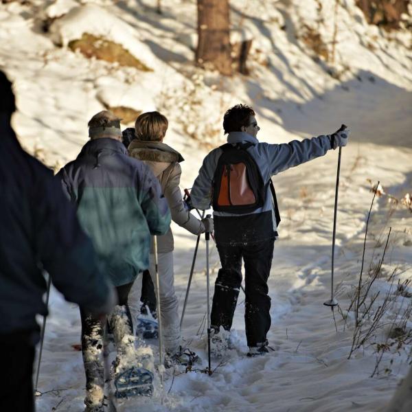 Snowshoe trail D01 : Around the Donon
