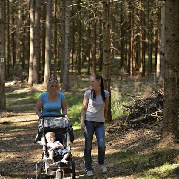 Outdoor stroller circuit CDF01 : From the cross of Jacques to La Drille
