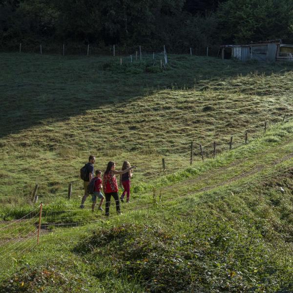 Stroller circuit B04 : On the heights of Schirmeck