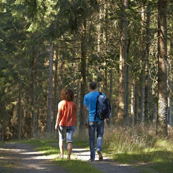 Stroller circuit B05 : Park and botanical trail in Urmatt