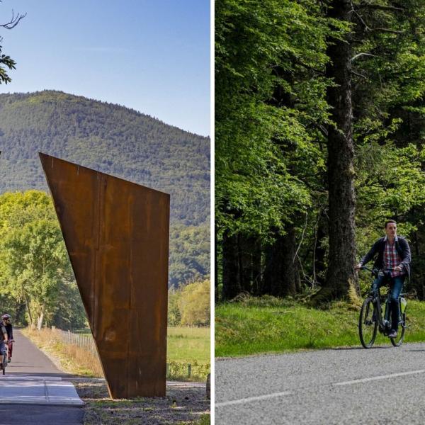 Inter-territory cycling circuit - From the Rhine to the Vosges